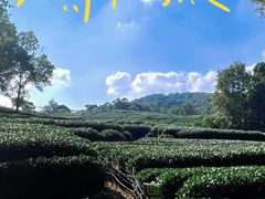 -拾溪餐厅·包厢(杭州千禧度假酒店)