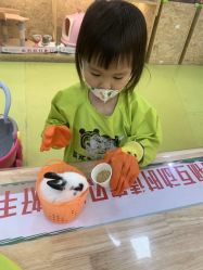 -萌宠家互动乐园