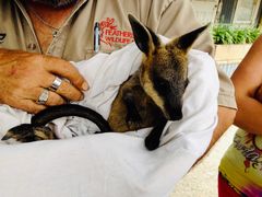 -费瑟代尔野生动物园