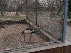 iphone_upload_pic-西安秦岭野生动物园