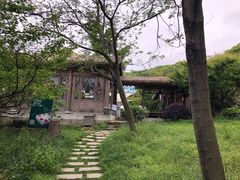 -苏州上方山国家森林公园