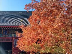 -香山公园