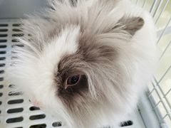 -小意思咖啡店(草桥店)