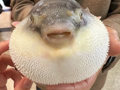 -味雅大酒店