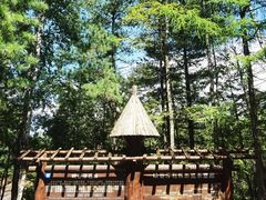 -峡谷浮石林景区