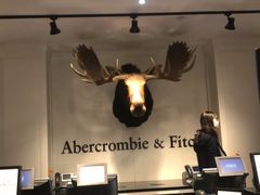 -Abercrombie & Fitch(三里屯太古里店)