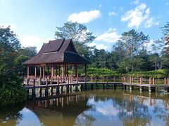 -中国科学院西双版纳热带植物园