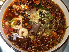 -雲蜀龙阁·金牌水煮鱼(方庄店)