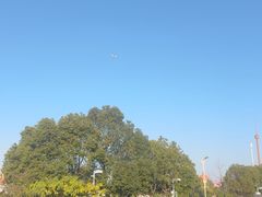 -久宴·天目湖大鱼头(恐龙园店)