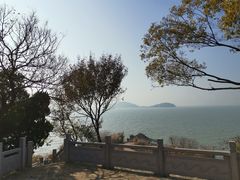 -上海市保健医疗中心