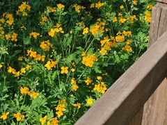 -何适山庄 ·可团建(水长城P2停车场店)