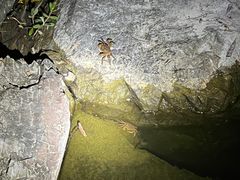 -上海怡沁园度假酒店