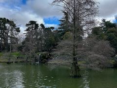-丽池公园