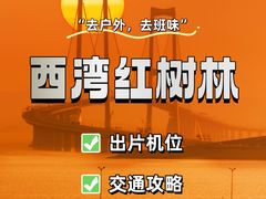 -宝安西湾红树林湿地公园