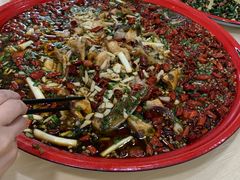 来凤鱼-东吴霸王兔(松青路店)