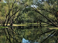 -上海共青森林公园