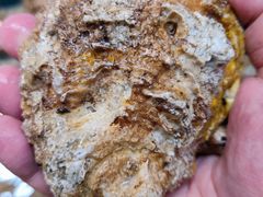 本地生蚝-杨梅坑渔村海鲜餐厅