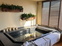 -春晖园度假酒店温泉