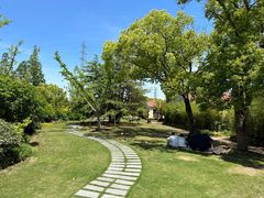 -上海长兴岛郊野公园