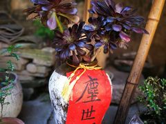 -红尘再(安昌古镇店)