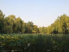 -莲湖公园