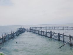 -水八仙生态园