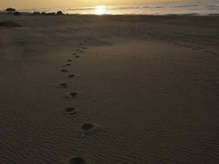 -南戴河旅游度假区