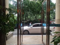 -碧莲盛·不剃发植发