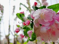 -元大都城垣遗址公园