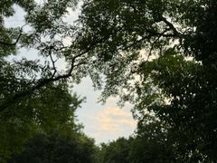 -杭州植物园