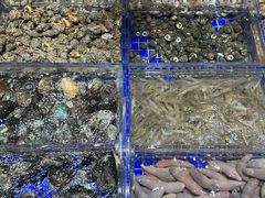 -高佳庄·舟山海鲜(海景旗舰店)