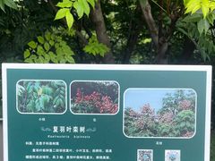 -福道