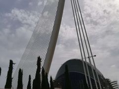 -瓦伦西亚大教堂