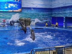 -多彩贵州城极地海洋世界