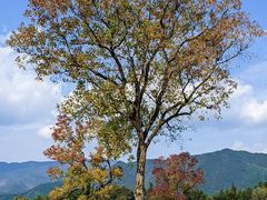-塔川景区