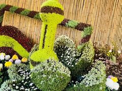-杭州植物园