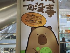 -凯德MALL(西直门店)