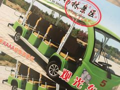 -金塔沙漠胡杨林景区