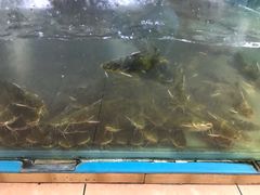 嘎鱼-大鹅岛灶台鱼·铁锅炖(水库路店)