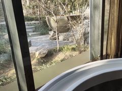 -春晖园度假酒店温泉