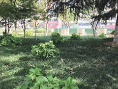 -大关公园