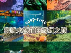 -太奥幻太奇海洋馆