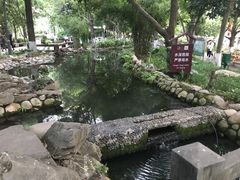 -成都市活水公园