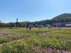 -红山村