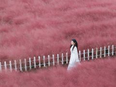 -嘉北郊野公园