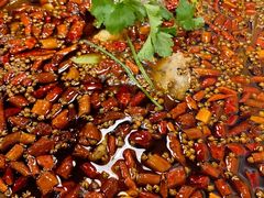 -味之绝热血美蛙鱼火锅(中坝店)