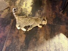 -吉友粥底火锅(方斜路店)