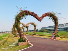 -迪茵湖田家舍生态农场