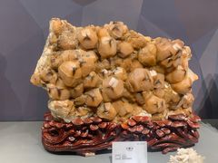 -湖南省地质博物馆