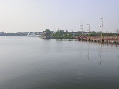 -鹅湖玫瑰文化园